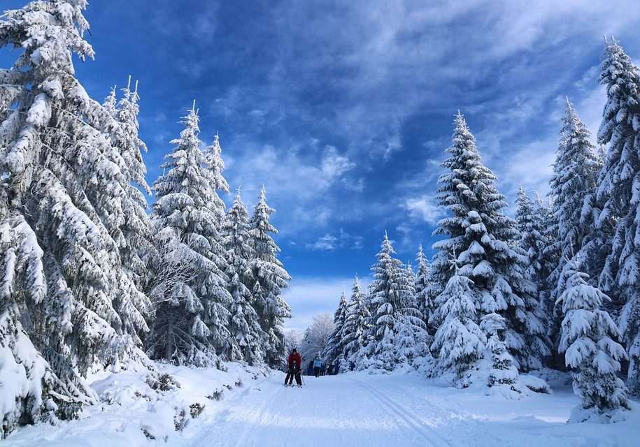 skiing 5878729 960 720